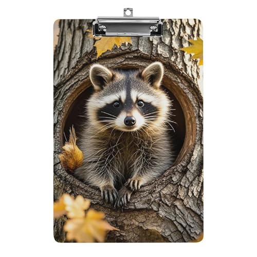 Klemmbrett Waschbär im Herbstbaum, leichtes Acryl-Klemmbrett für Standard-A4-Briefgröße, 21,6 x 31,8 cm, Büro-Klemmbrett mit flachem Metallclip, niedliche hängende Klemmbretter für die Arbeit Klemmbrett Waschbär im Herbstbaum, leichtes Acryl-Klemmbrett für Standard-A4-Briefgröße, 21,6 x 31,8 cm, Büro-Klemmbrett mit flachem Metallclip, niedliche hängende Klemmbretter für die Arbeit von LYHVSFJW