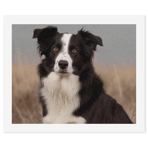 LYHVSFJW Malen nach Zahlen für Erwachsene Anfänger - Border Collie DIY Malset mit HD-Leinwand & Acrylfarben, komplettes Bastelset für Heimdekoration, Geschenke, Stressabbau, 40 x 50 cm von LYHVSFJW
