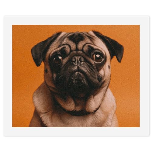LYHVSFJW Malen nach Zahlen für Erwachsene Anfänger - Ein Mops DIY Malset mit HD-Leinwand und Acrylfarben, komplettes Bastelset für Heimdekoration, Geschenke, Stressabbau, 40 x 50 cm LYHVSFJW Malen nach Zahlen für Erwachsene Anfänger - Ein Mops DIY Malset mit HD-Leinwand und Acrylfarben, komplettes Bastelset für Heimdekoration, Geschenke, Stressabbau, 40 x 50 cm von LYHVSFJW