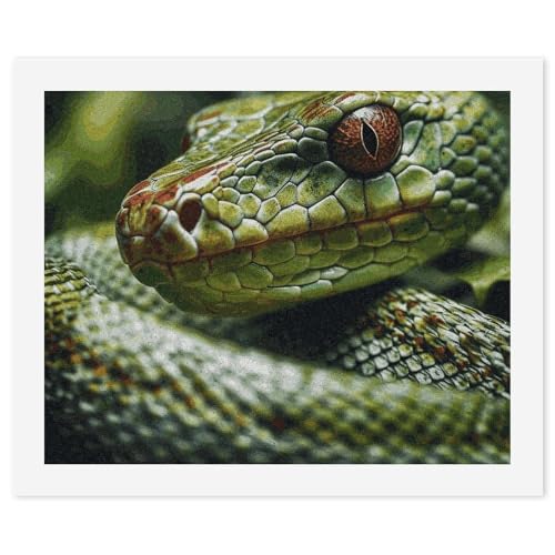 LYHVSFJW Malen nach Zahlen für Erwachsene Anfänger - Grüne Schlange DIY Malset mit HD-Leinwand & Acrylfarben, komplettes Bastelset für Heimdekoration, Geschenke, Stressabbau, 40 x 50 cm LYHVSFJW Malen nach Zahlen für Erwachsene Anfänger - Grüne Schlange DIY Malset mit HD-Leinwand & Acrylfarben, komplettes Bastelset für Heimdekoration, Geschenke, Stressabbau, 40 x 50 cm von LYHVSFJW
