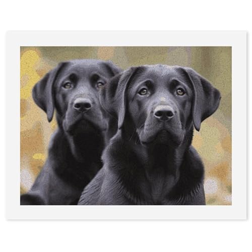 LYHVSFJW Malen nach Zahlen für Erwachsene Anfänger - Labrador Retriever Hund DIY Malset mit HD Leinwand & Acrylfarben, komplettes Bastelset für Heimdekoration, Geschenke, Stressabbau, 30 x 40 cm LYHVSFJW Malen nach Zahlen für Erwachsene Anfänger - Labrador Retriever Hund DIY Malset mit HD Leinwand & Acrylfarben, komplettes Bastelset für Heimdekoration, Geschenke, Stressabbau, 30 x 40 cm von LYHVSFJW
