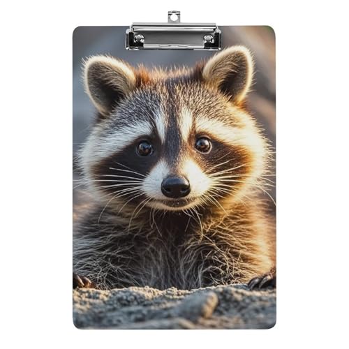 Süßes Waschbär-Klemmbrett, leichtes Acryl-Klemmbrett für Standard-A4-Briefgröße, 21,6 x 31,8 cm, Büro-Klemmbrett mit flachem Metallclip, niedliche hängende Klemmbretter für die Arbeit Süßes Waschbär-Klemmbrett, leichtes Acryl-Klemmbrett für Standard-A4-Briefgröße, 21,6 x 31,8 cm, Büro-Klemmbrett mit flachem Metallclip, niedliche hängende Klemmbretter für die Arbeit von LYHVSFJW