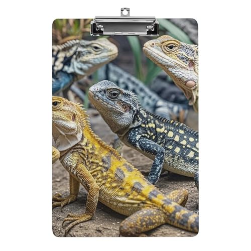 Verschiedene Arten von Eidechsen-Klemmbrett, leichtes Acryl-Klemmbrett für Standard-A4-Briefgröße, 21,6 x 31,8 cm, Büro-Klemmbrett mit flachem Metallclip, niedliche hängende Klemmbretter für die Verschiedene Arten von Eidechsen-Klemmbrett, leichtes Acryl-Klemmbrett für Standard-A4-Briefgröße, 21,6 x 31,8 cm, Büro-Klemmbrett mit flachem Metallclip, niedliche hängende Klemmbretter für die von LYHVSFJW