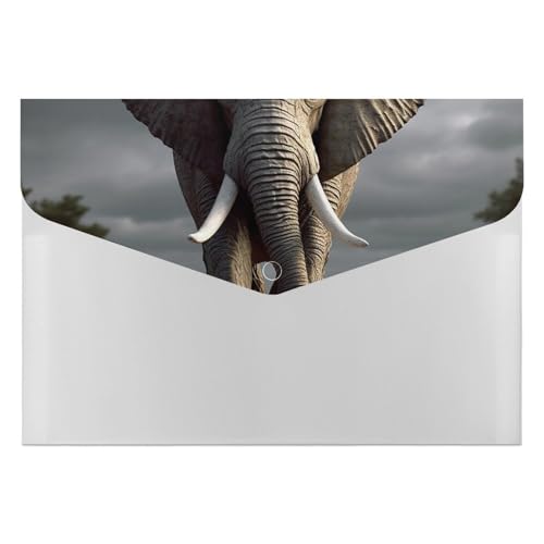 Aktenordner aus Kunststoff, 3D-Elefanten-Druck, Aktenordner, Briefgröße, tragbare Ordner, bedruckter Ordner, Organizer für Zuhause und Büro Aktenordner aus Kunststoff, 3D-Elefanten-Druck, Aktenordner, Briefgröße, tragbare Ordner, bedruckter Ordner, Organizer für Zuhause und Büro von LYHVSFZQ