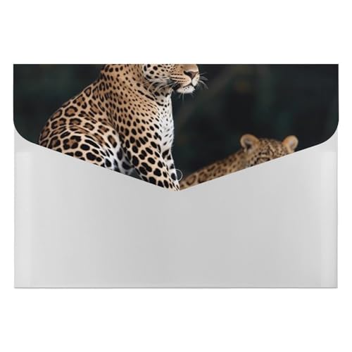 Aktenordner aus Kunststoff, afrikanischer Leopard auf Felsen, bedruckte Aktenordner, Briefgröße, tragbare Ordner, bedruckter Aktenordner für Zuhause und Büro von LYHVSFZQ