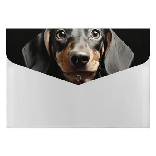 Dateiordner Kunststoff Ordner Pad Dackel Gedruckte Dateiordner Brief Größe Tragbare Ordner Gedruckt Archivieren Organizer für Home Office Dateiordner Kunststoff Ordner Pad Dackel Gedruckte Dateiordner Brief Größe Tragbare Ordner Gedruckt Archivieren Organizer für Home Office von LYHVSFZQ
