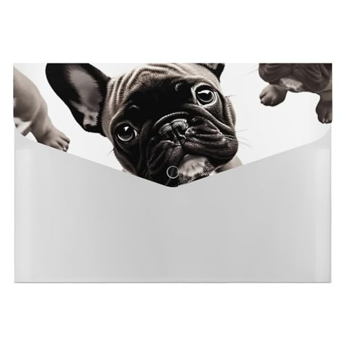Dokumentenmappen, Kunststoff, bedruckt, französische Bulldogge, Briefgröße, tragbare Ordner, bedruckter Aktenordner für Zuhause und Büro von LYHVSFZQ