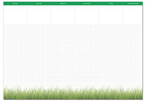 LYSCO neutrale Schreibunterlage (SU201) kariert grün mit Gras inklusive Wochenplaner Montag bis Sonntag im DIN A2-Quer, 25 Blatt, oben und unten verleimt, Schreibtischunterlage, Schreibblock, Notizblock von LYSCO