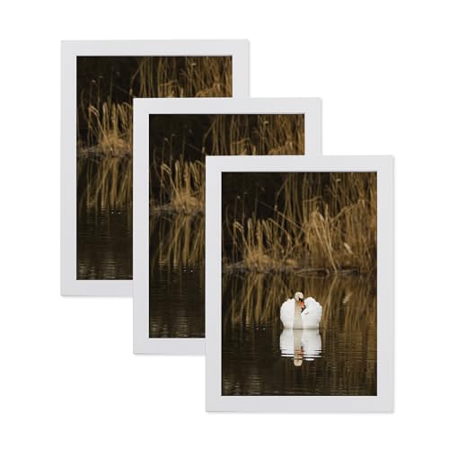 LYYYYYX Bilderrahmen aus Holz 13x18cm Weiss Fotorahmen mit Acrylglas 3er Set Zertifikatsrahmen Freistehend und wandmontierbar von LYYYYX