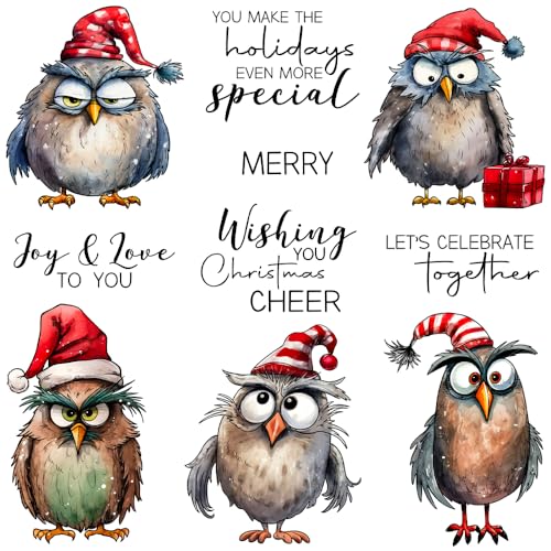 LZBRDY Lustige Eulen-Weihnachtsstempel und Stanzformen-Set für Bastelarbeiten, Scrapbooking, Kartenherstellung von LZBRDY