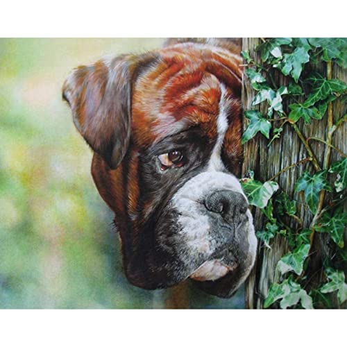 LZLYOU DIY Digital Ölgemälde nach Zahlen Kit Boxer Hund Malen nach Zahlen für Erwachsene Kinder Leinwand Geburtstag Hochzeitsgeschenk Dekorationen 40X50Cm von LZLYOU