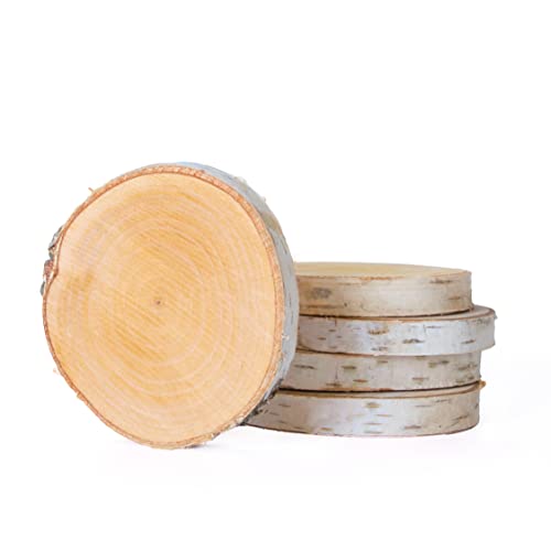 Birkenscheiben rund Ø 10-15cm, Baumscheiben aus Birkenholz, Holzscheibe unbehandelt mit Rinde für DIY Handwerk, Basteln, Holzdeko Hochzeit, Tischschilder, Untersetzer (5 Stk.) von La Wooderie