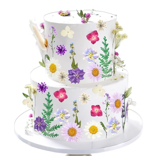 LaVenty Violette Wildblumen-Kuchendekoration, Wildblumen-Dekoration, Baby in Blüte, für Babyparty, Geburtstag, Brautparty, Hochzeit, Party-Dekoration von LaVenty