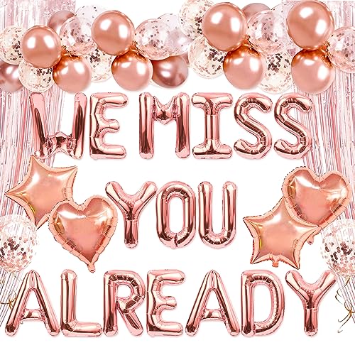 LaVenty We Miss You Already Geburtstag We Will Miss You Deko Banner Abschieds Party Dek Good luck Luftballons Wir Wir Werden Dich Vermissen Rentner Dekobanner von LaVenty