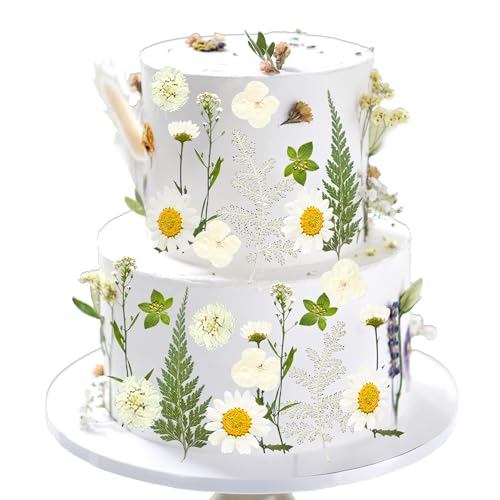 LaVenty Weiß Daisy Wildflower Tortenaufleger Wildflower Tortendekoration BabyIn Bloom für BabyShower Geburtstag Bridal Shower Hochzeit Party Dekoration von LaVenty