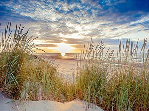 5D Diamond Painting Sonnenuntergang am Strand,Diamant Painting Bilder Erwachsene 60x90cm,DIY Diamant malen nach zahlen Set Kinder,mit Voll Zubehör,Wohnzimmer Schlafzimmer Büro Wand und Eingang Deko 5D Diamond Painting Sonnenuntergang am Strand,Diamant Painting Bilder Erwachsene 60x90cm,DIY Diamant malen nach zahlen Set Kinder,mit Voll Zubehör,Wohnzimmer Schlafzimmer Büro Wand und Eingang Deko von Laahoo