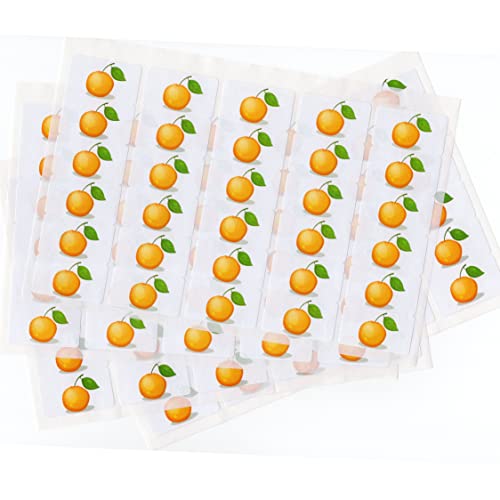 480 x Aufkleber - Mandarine (38 x 21 mm). Hochwertige selbstklebende Etiketten mit Fruchtmotiv von LabelCreate. von LabelCreate