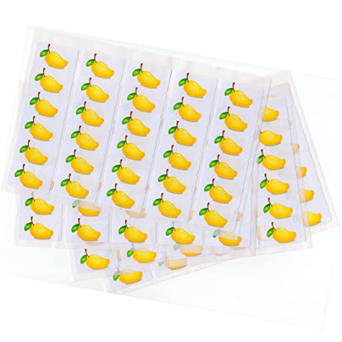480 x Aufkleber - Mango (38 x 21 mm). Hochwertige selbstklebende Etiketten mit Fruchtmotiv von LabelCreate. von LabelCreate