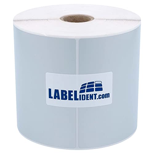 Labelident Thermotransfer-Etiketten auf Rolle silber - 101,6 x 101,6 mm - 500 Polyester PET Etiketten auf 1 Rolle(n), 1 Zoll (25,4 mm), Typenschild Etiketten selbstklebend von Labelident