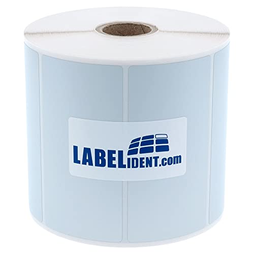 Labelident Thermotransfer-Etiketten auf Rolle silber - 105 x 52 mm - 1000 Polyester PET Etiketten auf 1 Rolle(n), 25 mm (1 Zoll), Typenschild Etiketten selbstklebend von Labelident