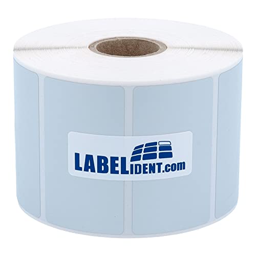 Labelident Thermotransfer-Etiketten auf Rolle silber - 50,8 x 25,4 mm - 2.580 Polyester PET Etiketten auf 1 Rolle(n), 1 Zoll (25,4 mm), Typenschild Etiketten selbstklebend von Labelident