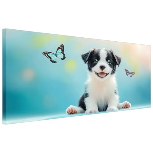 Diamond Painting Traum Diamond Painting Erwachsene Hund DIY Full Drill Diamant Bilder Anfänger Set,Runder Vollbohrer Malerei Stickerei Kreuzstich,Geeignet Als Geschenke Home Wand Dekor 40x80cm Xy-283 Diamond Painting Traum Diamond Painting Erwachsene Hund DIY Full Drill Diamant Bilder Anfänger Set,Runder Vollbohrer Malerei Stickerei Kreuzstich,Geeignet Als Geschenke Home Wand Dekor 40x80cm Xy-283 von Laewaele