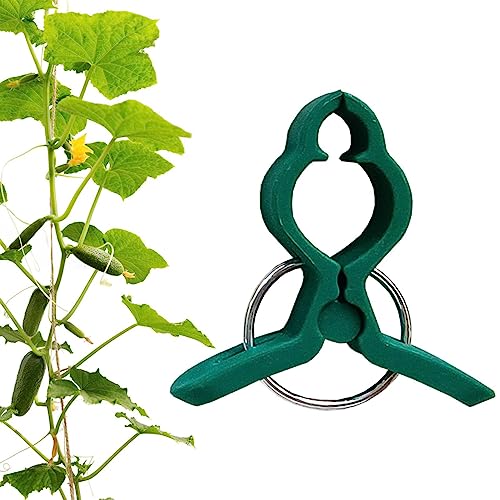 Lambo Halterung | Tomatenständer – verstellbare Gartenklammern zum Befestigen von Tomaten, Weinreben, Chili, Gemüse Lambo Halterung | Tomatenständer – verstellbare Gartenklammern zum Befestigen von Tomaten, Weinreben, Chili, Gemüse von Lambo