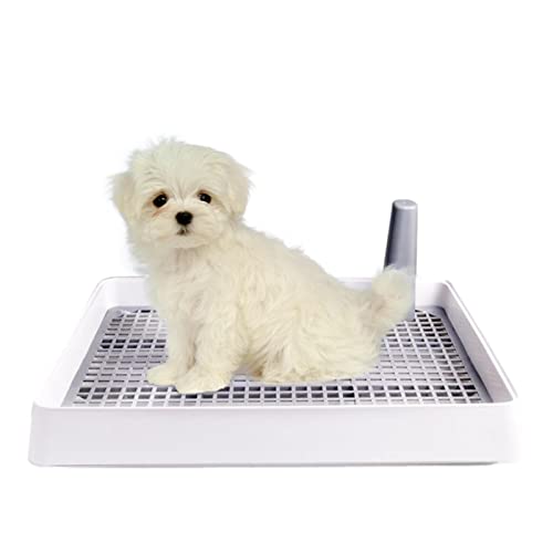 Lambo Toilette für Hunde, für den Innenbereich, Trainingstoilette aus Netzstoff, für Haustiere, Training, Toilet Tray, Töpfchen, wiederverwendbar, für Hunde, Toilettenartikel, Innenzubehör Lambo Toilette für Hunde, für den Innenbereich, Trainingstoilette aus Netzstoff, für Haustiere, Training, Toilet Tray, Töpfchen, wiederverwendbar, für Hunde, Toilettenartikel, Innenzubehör von Lambo