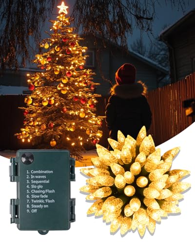 Lamptobe Warmweiß Weihnachtslichterkette, 50 Erdbeer Lichterkette Weihnachten, 5M, 8 Modi, IP44 wasserdicht, Ideal für Weihnachten, Hochzeit, Balkon, Garten, Party Dekoration Lamptobe Warmweiß Weihnachtslichterkette, 50 Erdbeer Lichterkette Weihnachten, 5M, 8 Modi, IP44 wasserdicht, Ideal für Weihnachten, Hochzeit, Balkon, Garten, Party Dekoration von Lamptobe