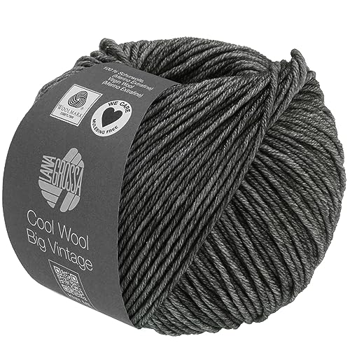 LANA GROSSA Cool Wool Big Vintage | Merinoklassiker mit Ton-in-Ton Farbeffekt | Handstrickgarn aus 100% Schurwolle (Merino extrafein) | 50g Wolle zum Stricken & Häkeln | 120m Garn FB 7170 von Lana Grossa