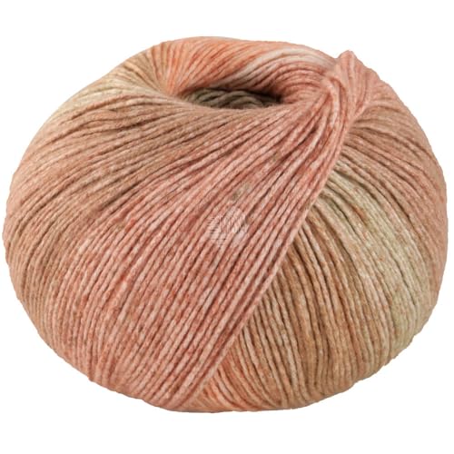 LANA GROSSA Gomitolo Mambo | Flauschig Baumwollgarn mit Streifen-Farbverlauf aus dem Knäuel | Handstrickgarn aus 100% Baumwolle (Bio) |100g Wolle zum Stricken & Häkeln | 240m Garn FB 2037 von Lana Grossa