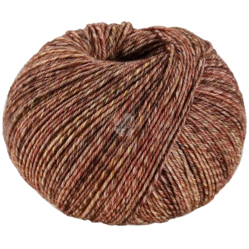 LANA GROSSA Vintage Socks | Hochwertiges Sockengarn mit Merinowolle und mit Ton in Ton Farbeffekt | Handstrickgarn aus 75% Schurwolle & 25% Polyamid | 100g Wolle zum Stricken & Häkeln | 400m Garn LANA GROSSA Vintage Socks | Hochwertiges Sockengarn mit Merinowolle und mit Ton in Ton Farbeffekt | Handstrickgarn aus 75% Schurwolle & 25% Polyamid | 100g Wolle zum Stricken & Häkeln | 400m Garn von Lana Grossa