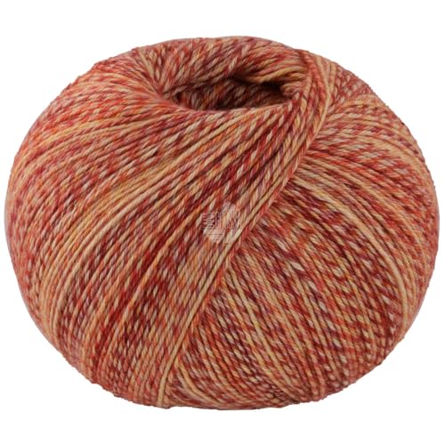 LANA GROSSA Vintage Socks | Hochwertiges Sockengarn mit Merinowolle und mit Ton in Ton Farbeffekt | Handstrickgarn aus 75% Schurwolle & 25% Polyamid | 100g Wolle zum Stricken & Häkeln | 400m Garn LANA GROSSA Vintage Socks | Hochwertiges Sockengarn mit Merinowolle und mit Ton in Ton Farbeffekt | Handstrickgarn aus 75% Schurwolle & 25% Polyamid | 100g Wolle zum Stricken & Häkeln | 400m Garn von Lana Grossa
