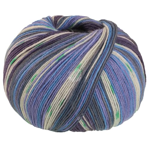 Lana Grossa Meilenweit 100 g SETA GIAPPONE 4-fach Sockenwolle mit Seide 400 m, Farbe:3385 - Blauviolett/Weiß/Himmelblau/Grau/Blaulila/Grün von Lana Grossa