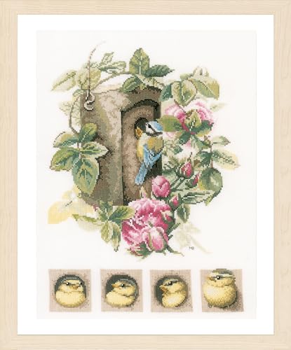 LANARTE Kreuzstich Stickpackungen Gezählter Kreuzstichbilder Set VOGELHAUS MIT ROSEN Wanddekoration Handarbeit Set für Erwachsene 29 x 35 cm DIY Deko Bastelset Handwerker Kreative Geschenkset LANARTE Kreuzstich Stickpackungen Gezählter Kreuzstichbilder Set VOGELHAUS MIT ROSEN Wanddekoration Handarbeit Set für Erwachsene 29 x 35 cm DIY Deko Bastelset Handwerker Kreative Geschenkset von Lanarte