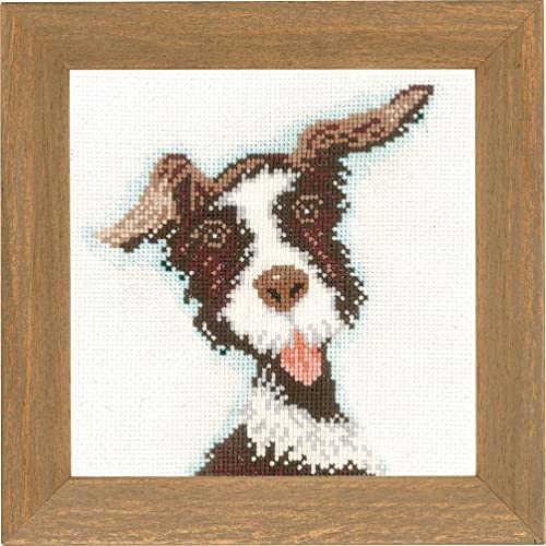 LanArte Kreuzstich Stickpackungen, Deko Bild im Kreuzstich Set vorgedruckt mit Stickbild auf 100% Baumwoll Stoff und Stickgarn, Stickvorlagen 13 x 13 cm mit Anleitung, Buster, LanArte Kreuzstich Stickpackungen, Deko Bild im Kreuzstich Set vorgedruckt mit Stickbild auf 100% Baumwoll Stoff und Stickgarn, Stickvorlagen 13 x 13 cm mit Anleitung, Buster, von Lanarte