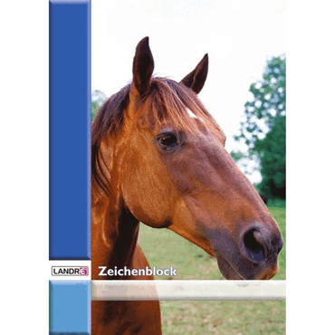 10 x Landre Zeichenblock A4 perforiert VE=20 Blatt von Landre