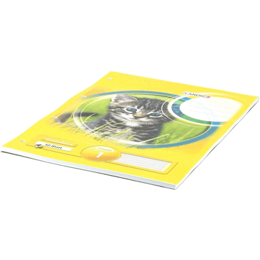 Landre Arbeitsblock A4 50 Blatt 4fach gelocht Lineatur 1 1.Schuljahr von Landre