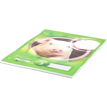 Landre Arbeitsblock A4 50 Blatt 4fach gelocht Lineatur 3 3.Schuljahr von Landre