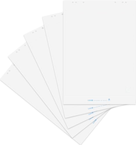 Landré Flipchart-Papier recycling, blanko, 20 Blatt je Block, 6 fach Lochung, 5 Stück Landré Flipchart-Papier recycling, blanko, 20 Blatt je Block, 6 fach Lochung, 5 Stück von LANDRÉ