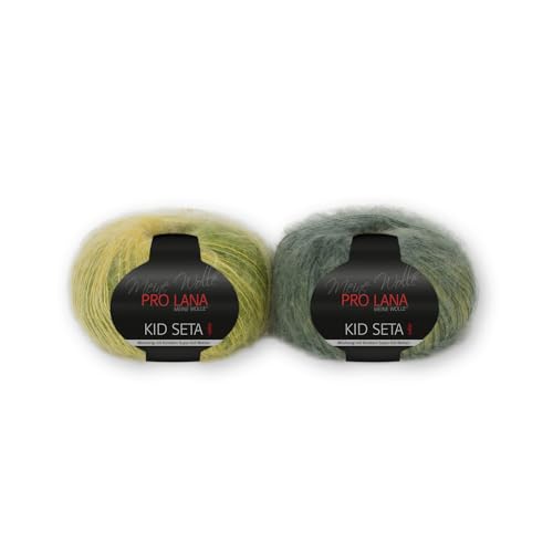 PRO LANA Kid Seta Color - Farbe: 185-25 g/ca. 210 m Wolle PRO LANA Kid Seta Color - Farbe: 185-25 g/ca. 210 m Wolle von PRO LANA