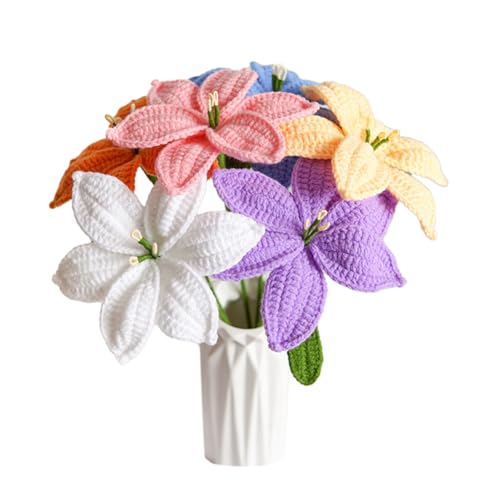 Lanko 6 Stück handgestrickte Lilie Tulpe Rose Häkelblumen künstliche Blumen Blumenstrauß wie abgebildet hausgemachte Schreibtischdekoration Geschenk Lanko 6 Stück handgestrickte Lilie Tulpe Rose Häkelblumen künstliche Blumen Blumenstrauß wie abgebildet hausgemachte Schreibtischdekoration Geschenk von Lanko