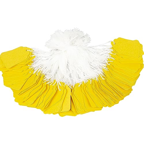 Merchandise-Anhänger mit Schnur, 200 Stück kleine Papierpreisschilder, Markierungsschilder, Geschenkanhänger, aufgereihte Etiketten, beschreibbare Anhänger für kleine Unternehmen, Schmuck, Kleidung von Laoban
