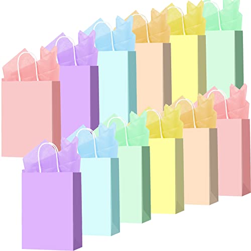 Larcenciel 12 Stück Geschenktüten mit 12 Stück Seidenpapier, Bunt Papiertüten mit Griffen, Regenbogen Party Geschenktaschen Süßigkeitentüten für Geburtstag, Hochzeit, Babyparty, Ferien (Klein) von Larcenciel