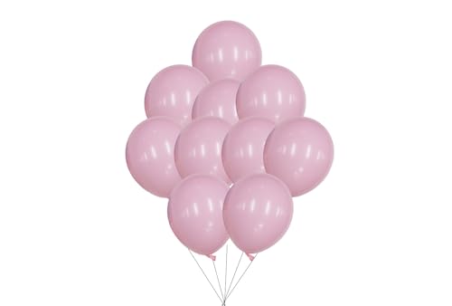 12 inches (30 cm) Thickened Matte Balloons - 50 pieces Natural Latex Balloons - 3.2g/piece (Baby Pink) von Latex Bros