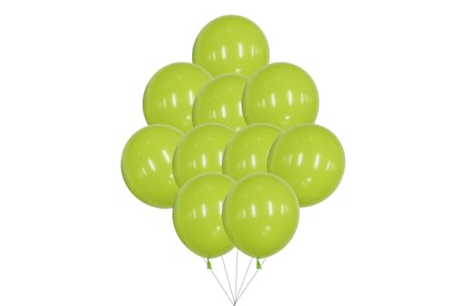12 inches (30 cm) Thickened Matte Balloons - 50 pieces Natural Latex Balloons - 3.2g/piece (Mint Green) von Latex Bros
