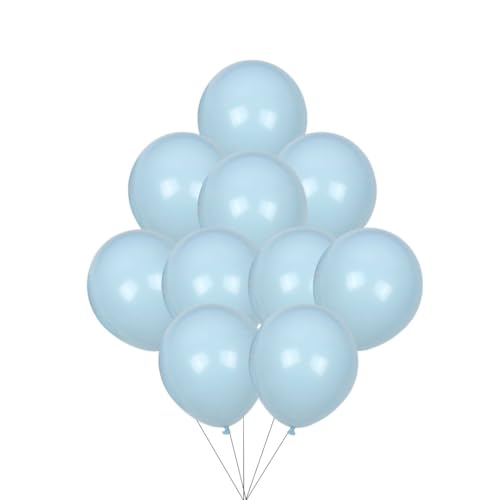 12 inches (30 cm) Thickened Pastel Balloons - 50 pieces Natural Latex Balloons - 3.2g/piece (Pastel Blue) von Latex Bros