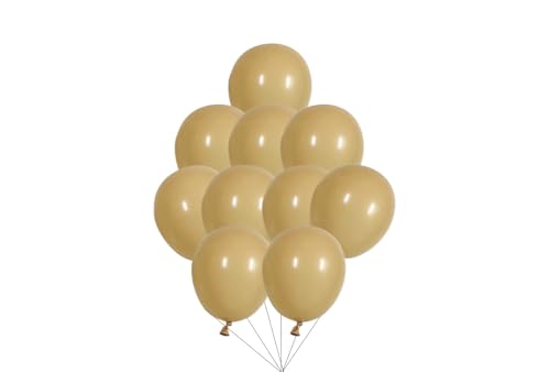 12 inches (30 cm) Thickened Retro Balloons - 50 pieces Natural Latex Balloons - 3.2g/piece (Apricot) von Latex Bros