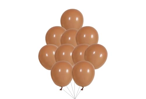 12 inches (30 cm) Thickened Retro Balloons - 50 pieces Natural Latex Balloons - 3.2g/piece (Nude Pink) von Latex Bros