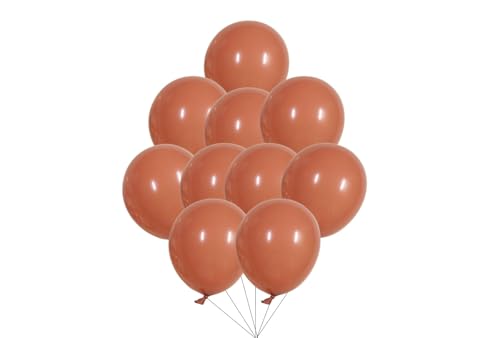 12 inches (30 cm) Thickened Retro Balloons - 50 pieces Natural Latex Balloons - 3.2g/piece (Retro Pink) von Latex Bros